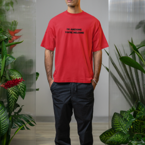 I'm awesome - You're welcome Tee-shirt