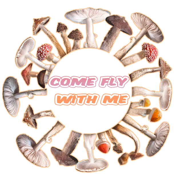 Come fly with me Tee-shirt - Image 2