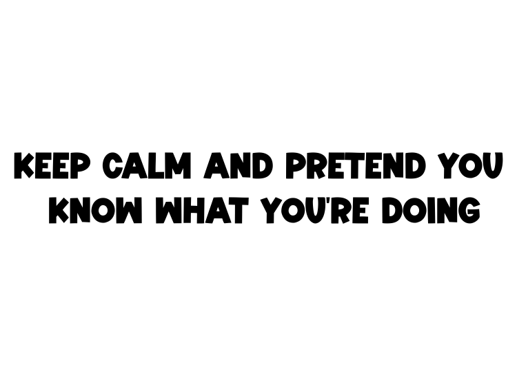 Keep calm and pretend you know what you're doing Tee-shirt - Image 2